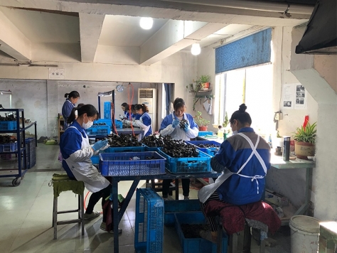 修蠟，檢驗(yàn)